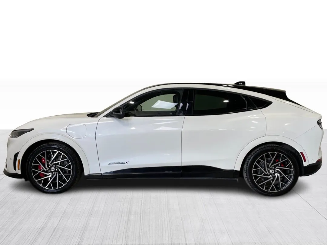 Ford Mustang Mach-E GT Performance Edition AWD 2022, photo 5