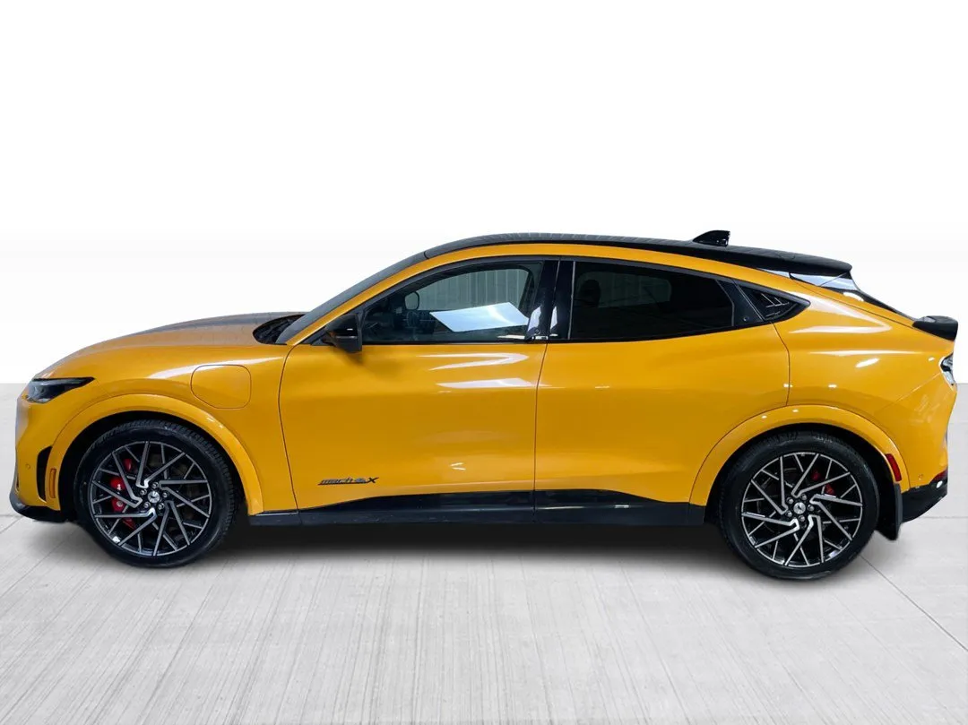 Ford Mustang Mach-E GT Performance Edition AWD 2022, photo 10