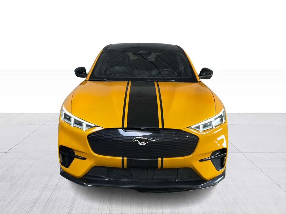 Ford Mustang Mach-E GT Performance Edition AWD 2022, photo 8