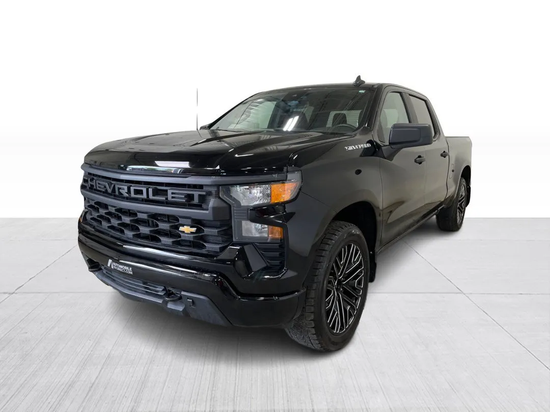 2024 Chevrolet Silverado 1500 — photo 8