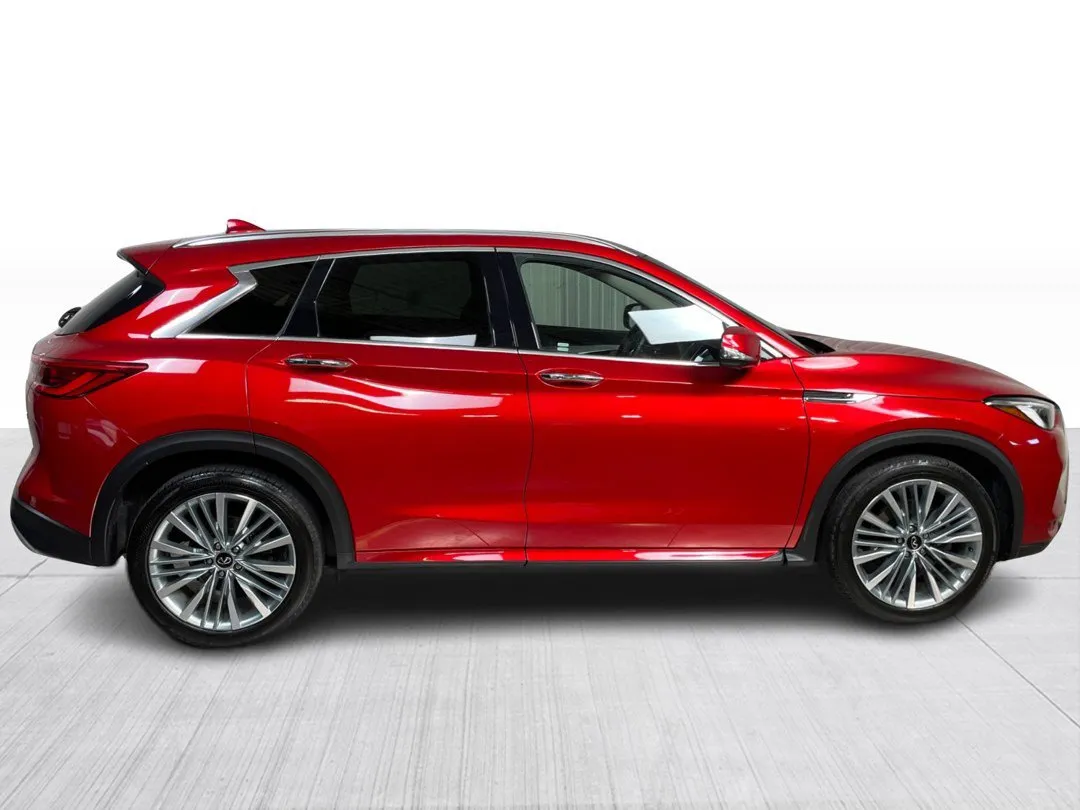 2024 INFINITI QX50 for sale - photo 2
