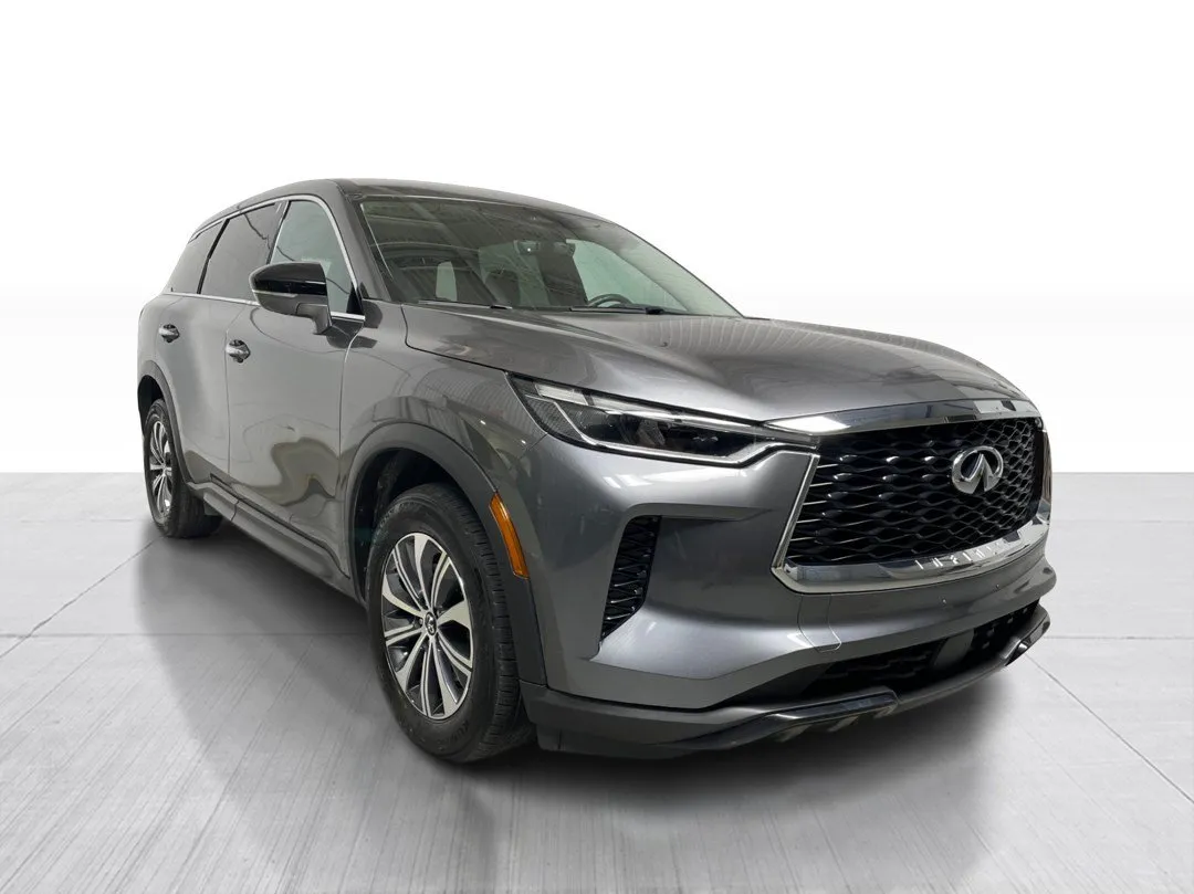 2024 INFINITI QX60 for sale - photo 1