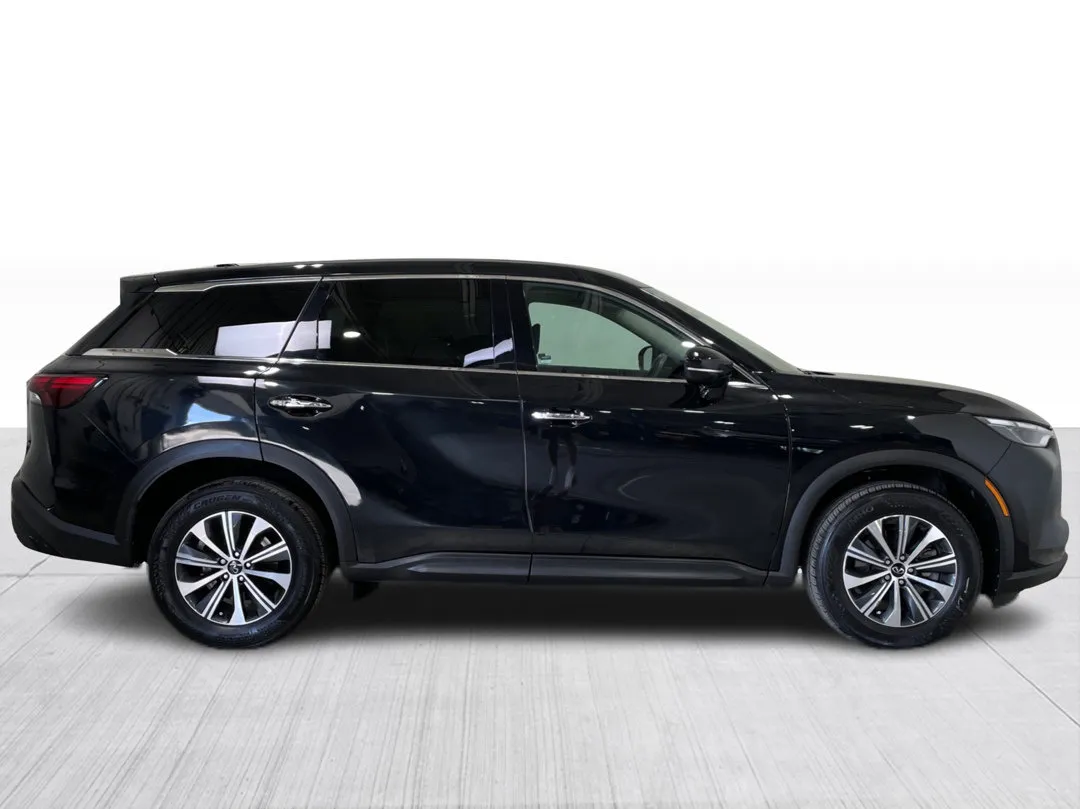 2024 INFINITI QX60 for sale - photo 2
