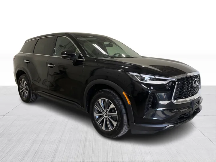 2024 INFINITI QX60 for sale - photo 1