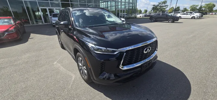2024 INFINITI QX60 for sale - photo 1