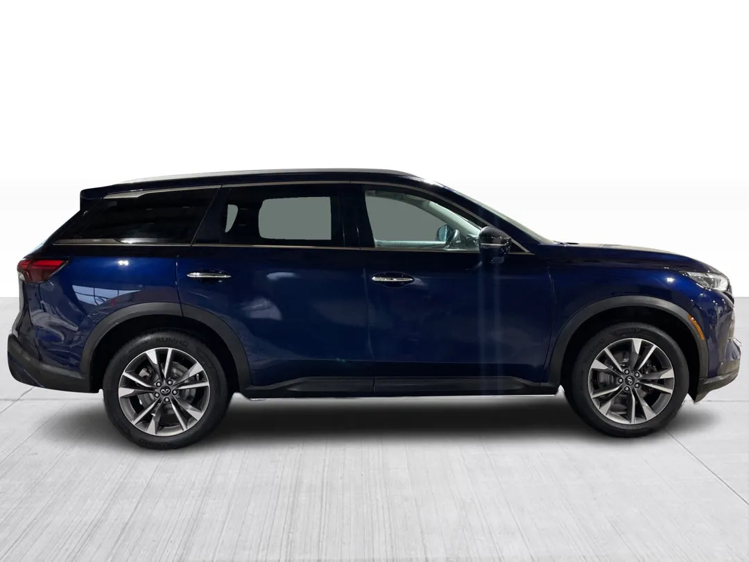 2024 INFINITI QX60 for sale - photo 2