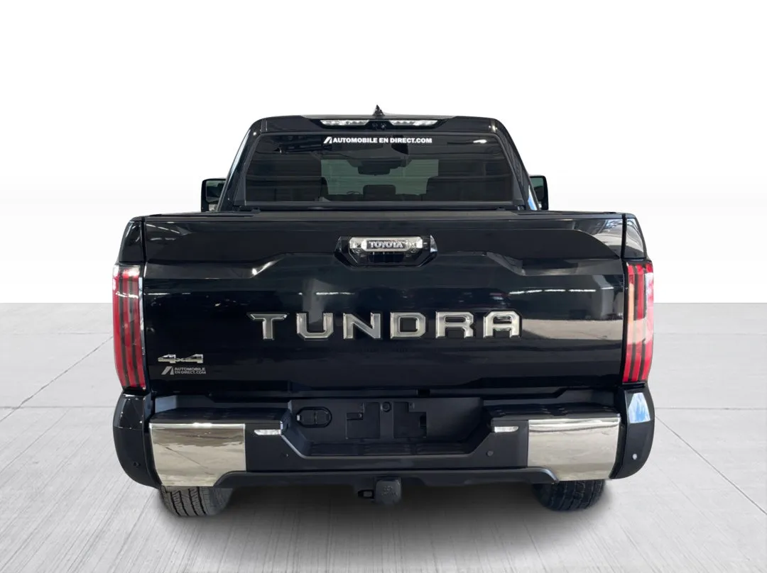 Toyota Tundra 1794 Edition Crewmax 4x4 2023, photo 10