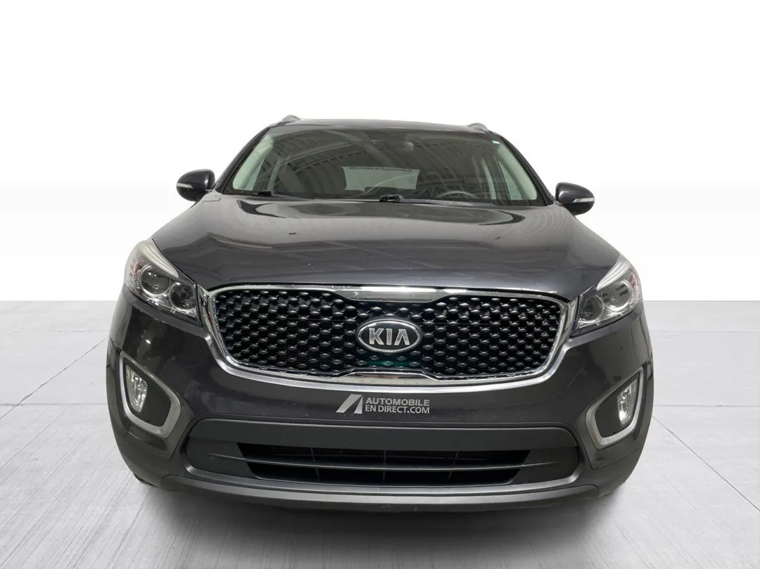 2017 Kia Sorento — photo 6