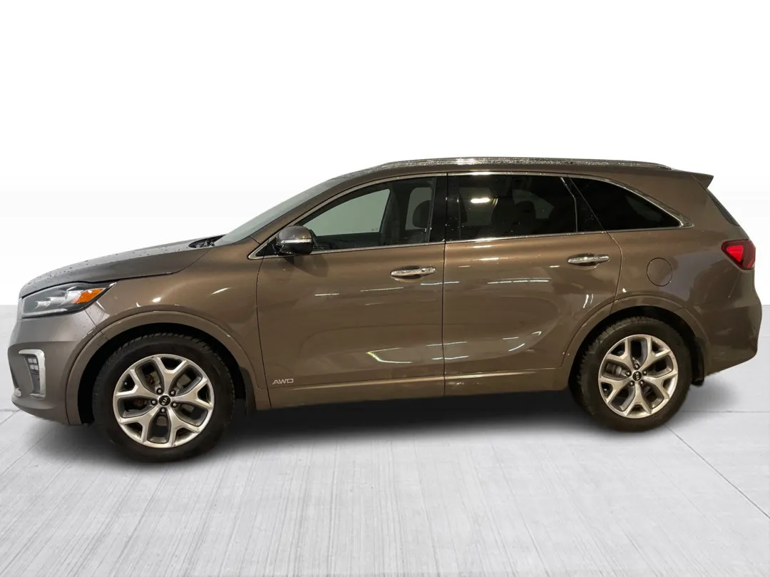 2019 Kia Sorento for sale - photo 4