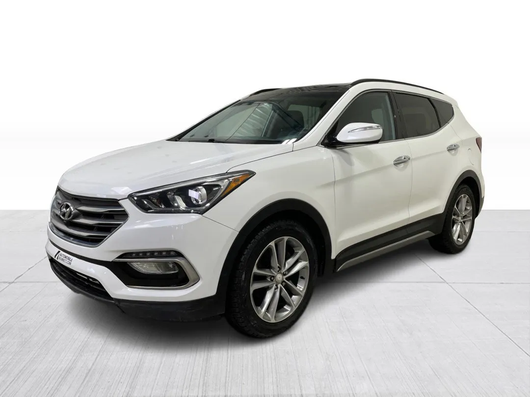 2017 Hyundai Santa Fe Sport — photo 8