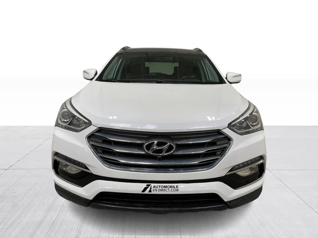 2017 Hyundai Santa Fe Sport — photo 7
