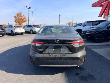 2020 Toyota Corolla - image 6