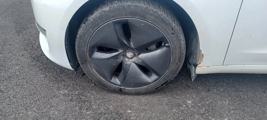 2020 Tesla Model 3 Standard Range Plus, photo 7