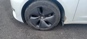 2020 Tesla Model 3 - image 8