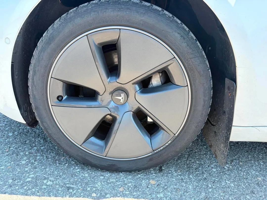 2021 Tesla Model 3 — photo 8