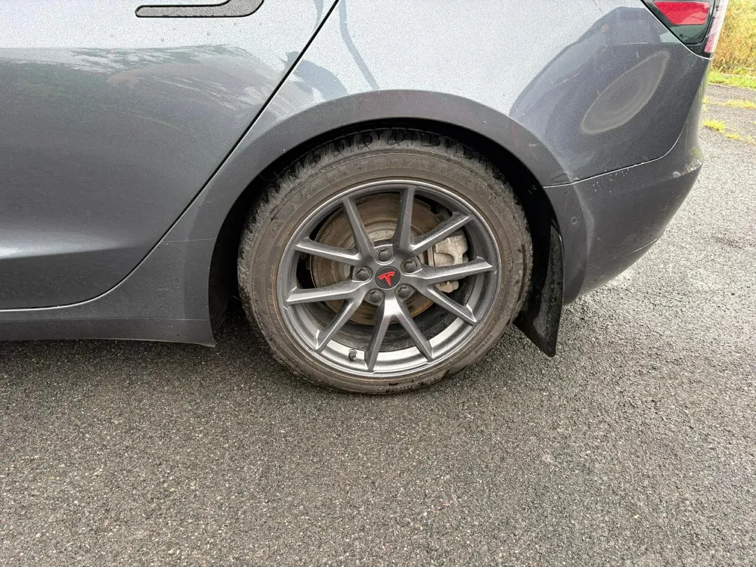 2021 Tesla Model 3 — photo 6
