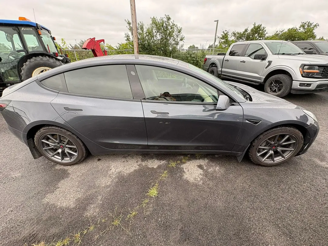 2021 Tesla Model 3 — photo 4