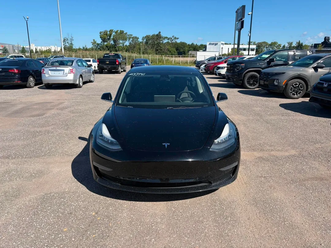 2019 Tesla Model 3 for sale - photo 2