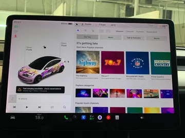 2019 Tesla Model 3 - image 32