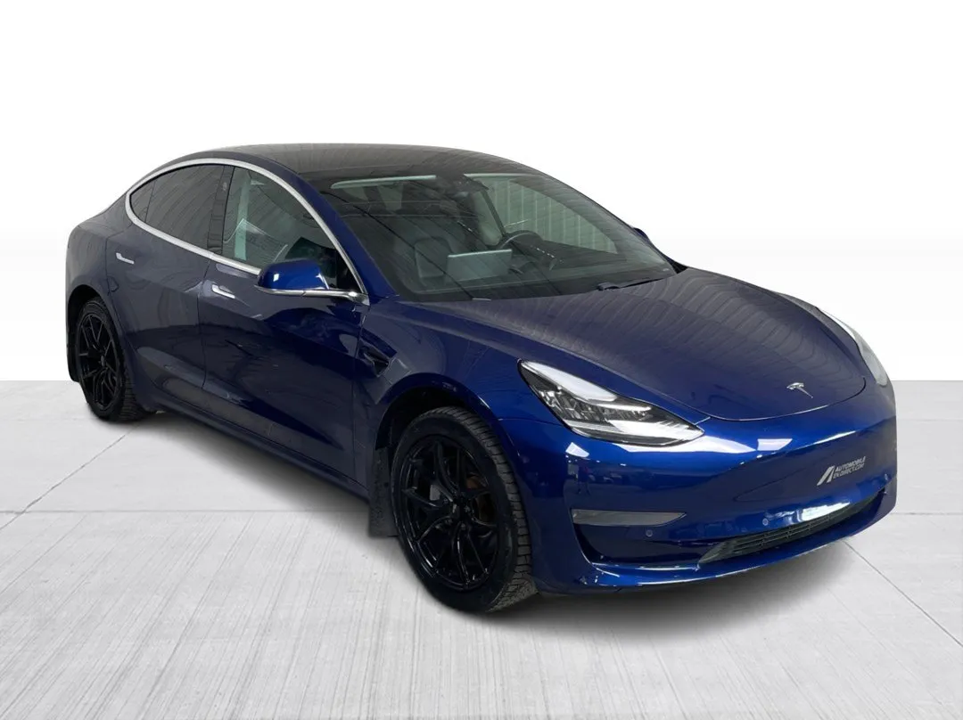 2019 Tesla Model 3 Standard Range, photo 1