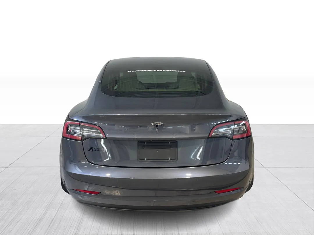 2020 Tesla Model 3 Standard Range Plus, photo 6