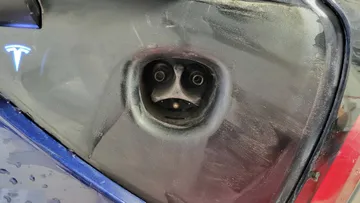2022 Tesla Model 3 - image 10