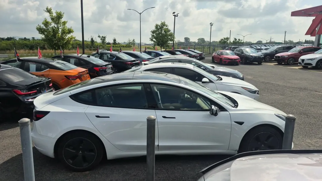 2021 Tesla Model 3 — photo 4