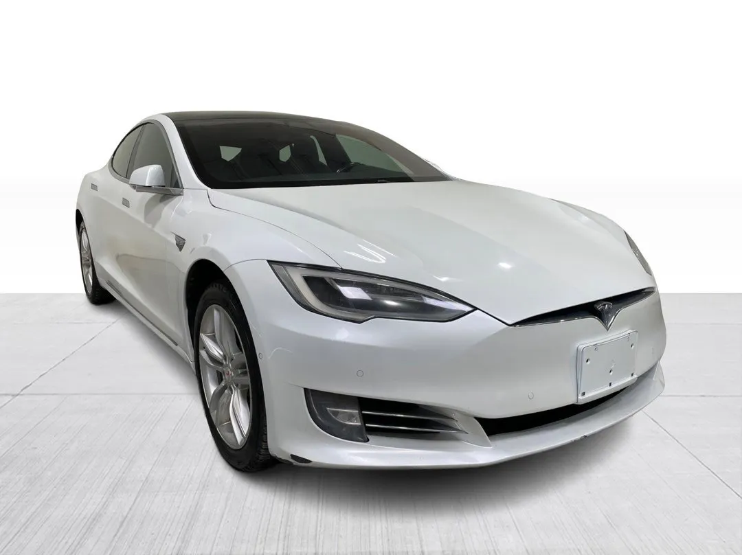 2019 Tesla Model S