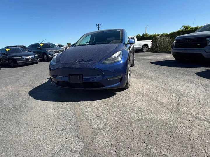 2021 Tesla Model Y - main image