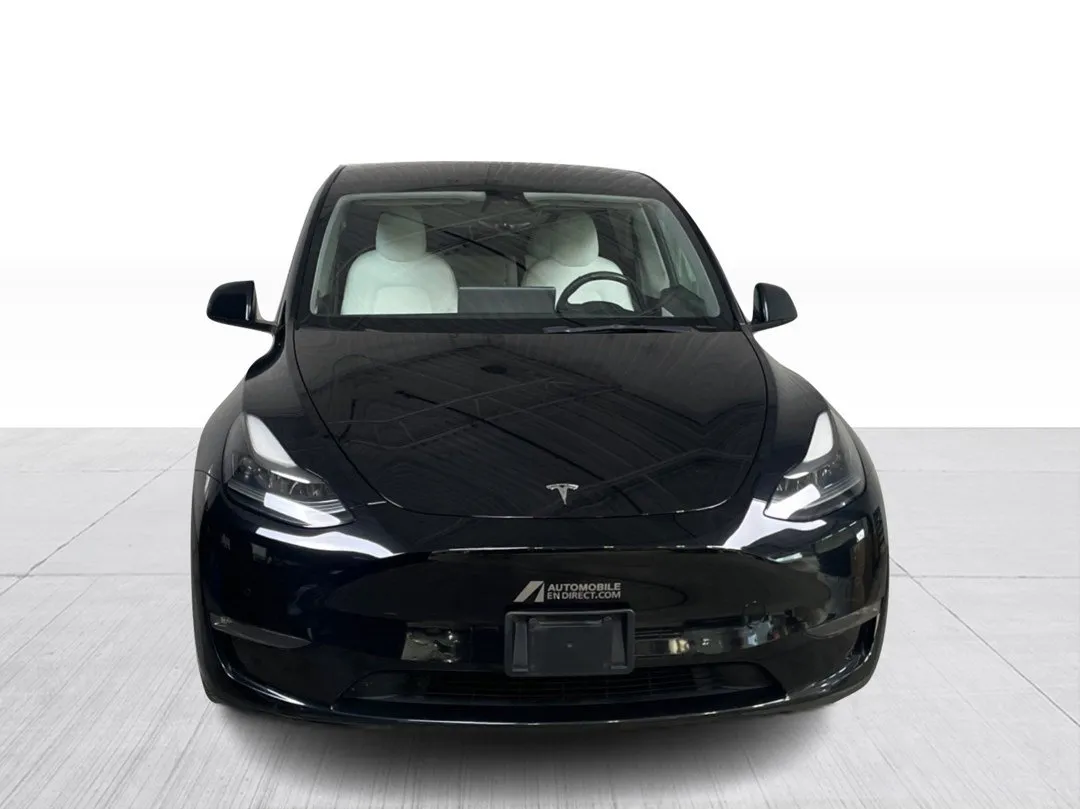 2021 Tesla Model Y — photo 6