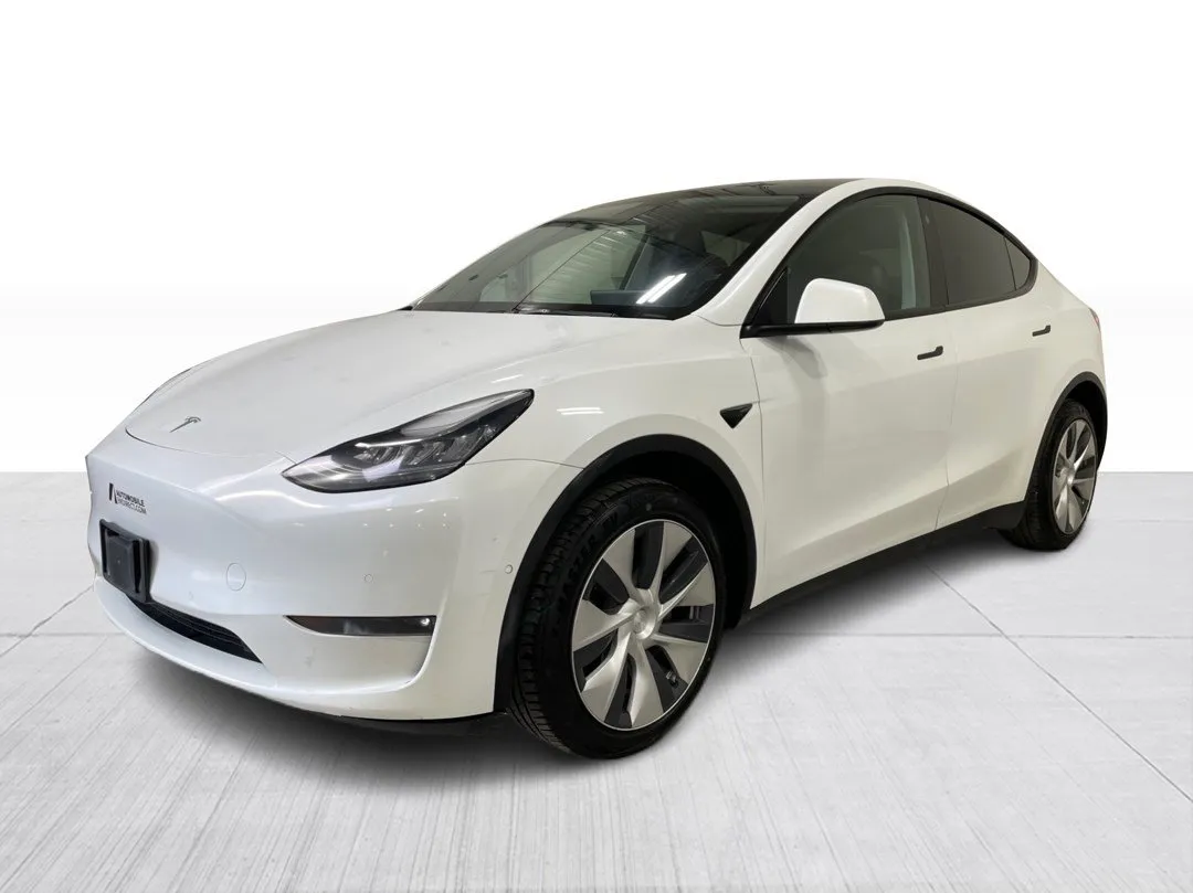 2022 Tesla Model Y — photo 8
