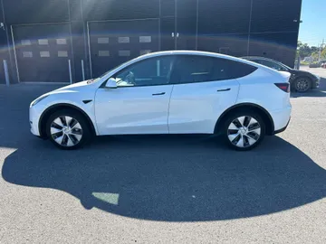 2023 Tesla Model Y - image 6