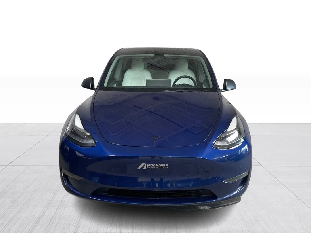 2022 Tesla Model Y — photo 7