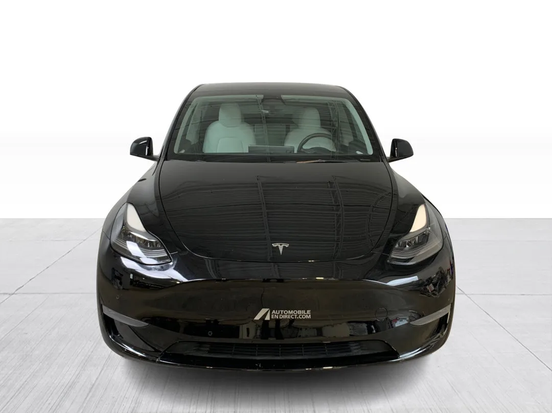 2022 Tesla Model Y Performance AWD, photo 6