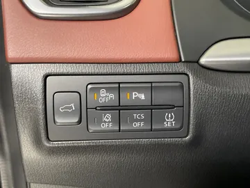 2017 Mazda CX-9 - image 32