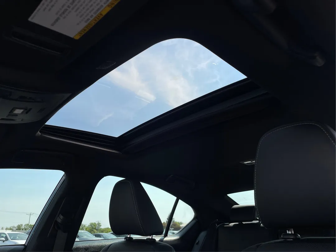 2022 Lexus IS — photo 5
