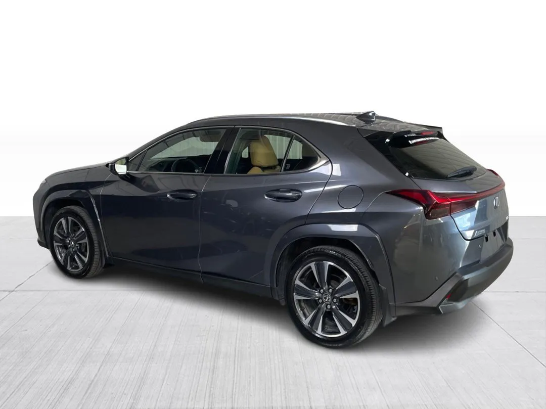 2024 Lexus UX UX 250h AWD, photo 10