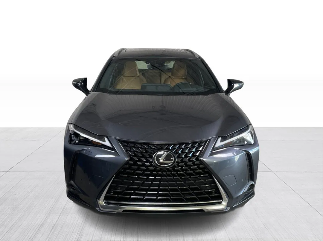 2024 Lexus UX UX 250h AWD, photo 7