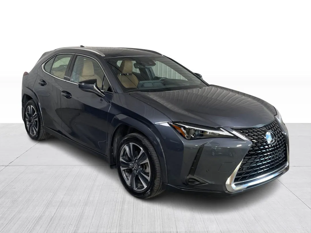 2024 Lexus UX for sale - photo 1