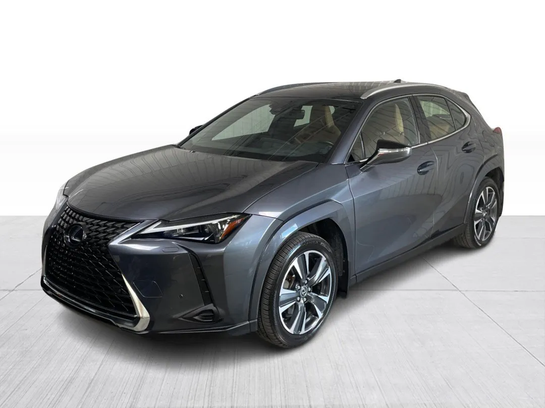 2024 Lexus UX UX 250h AWD, photo 8