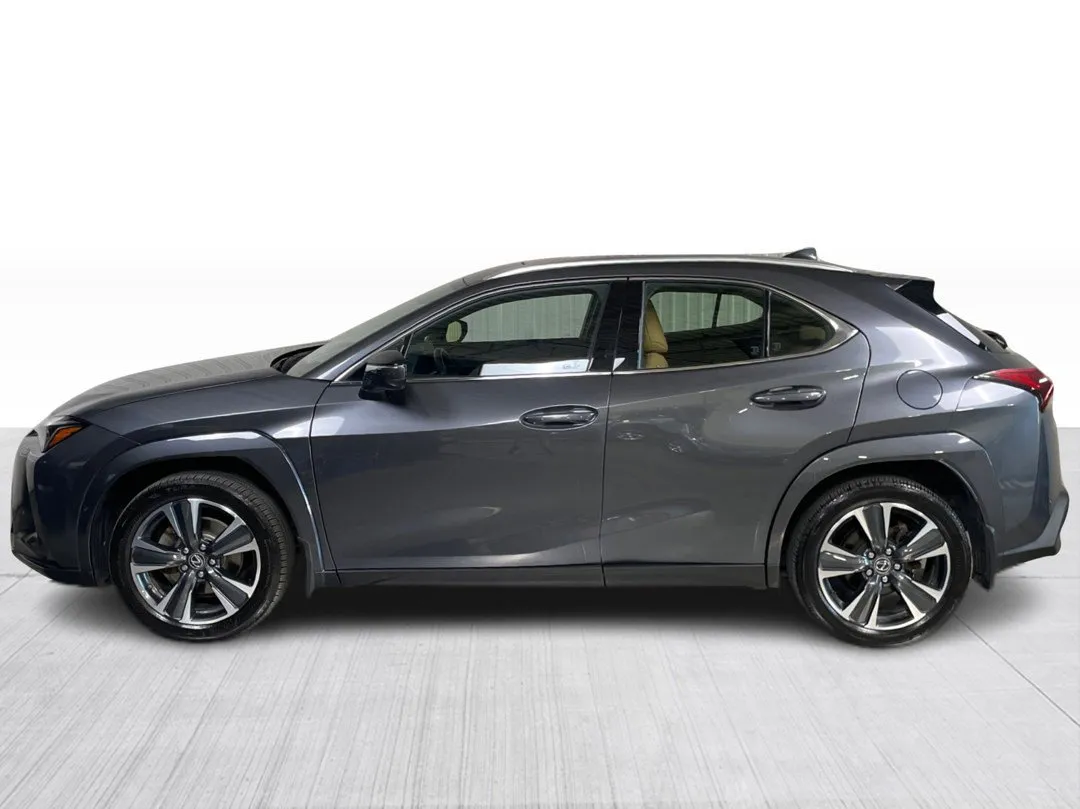 2024 Lexus UX UX 250h AWD, photo 9