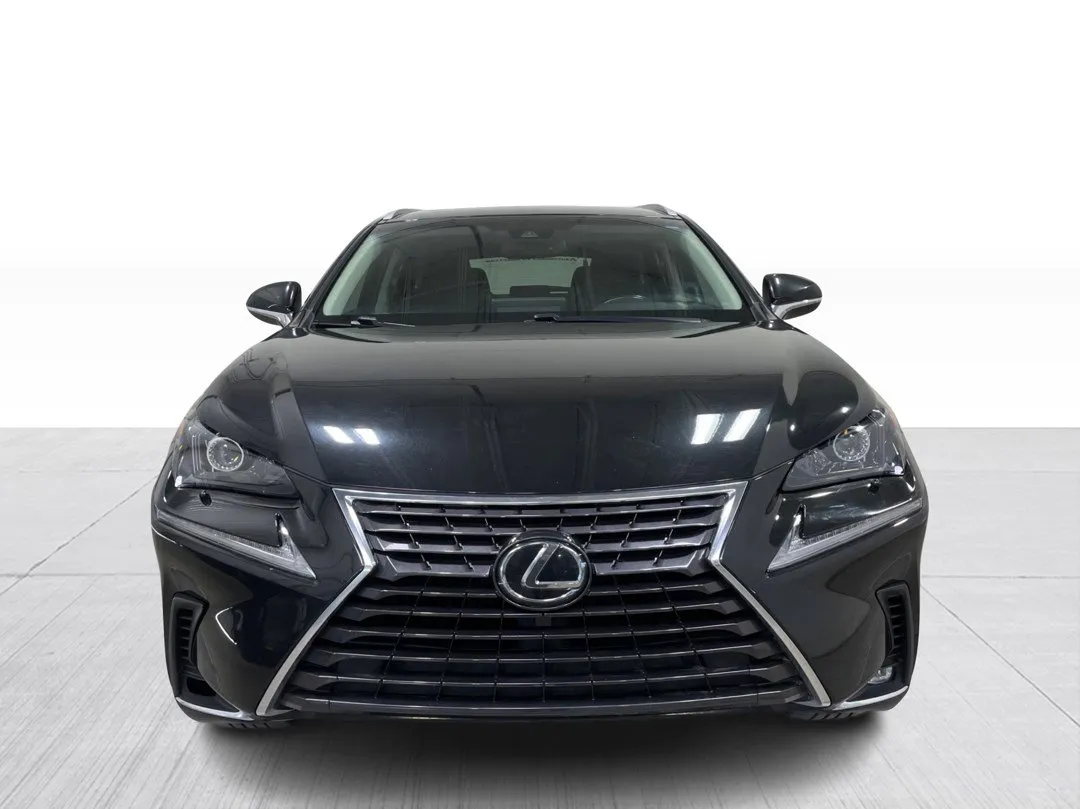 2019 Lexus NX — photo 8