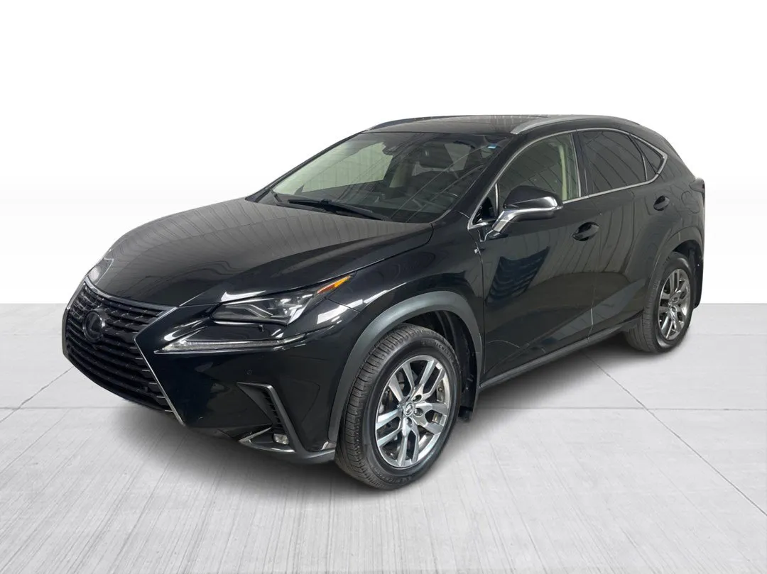 2019 Lexus NX — photo 8