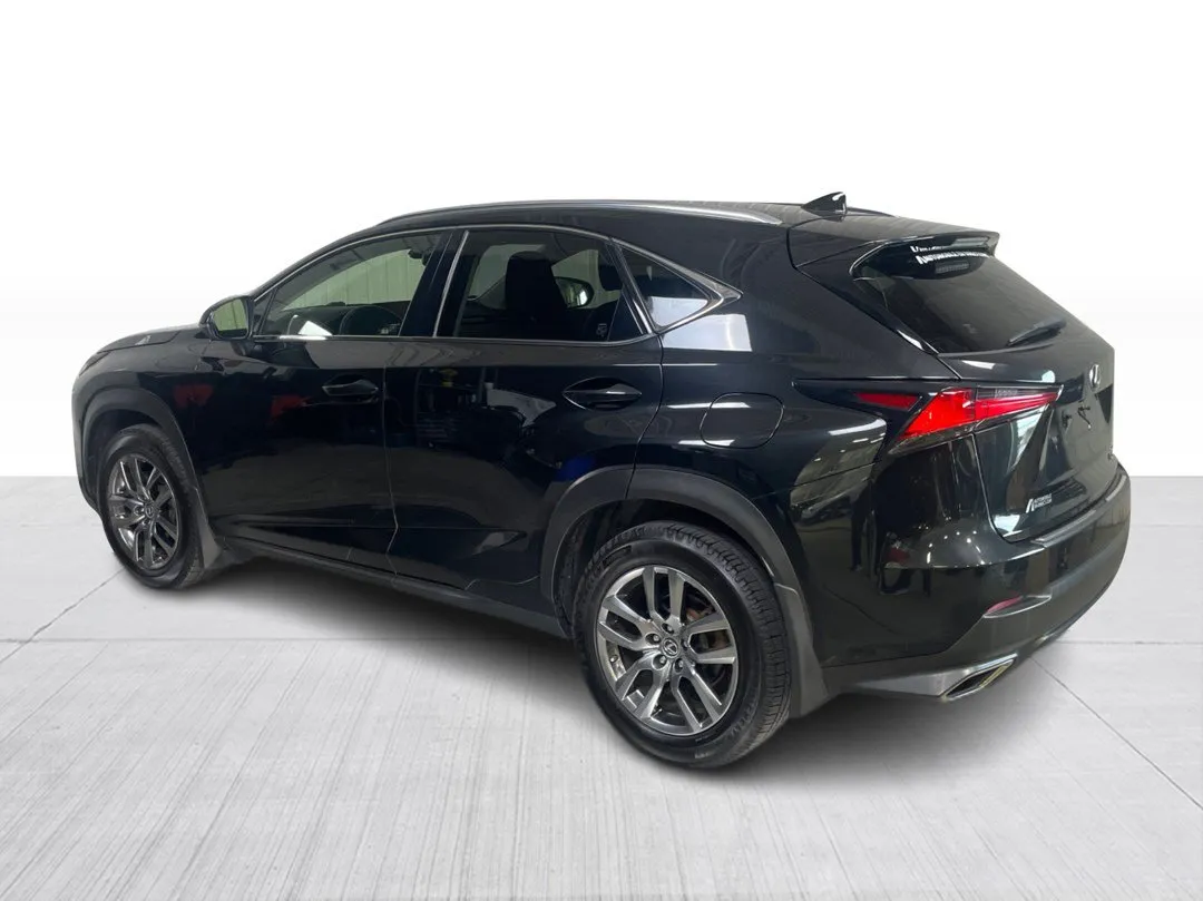 2019 Lexus NX 300 AWD, photo 10