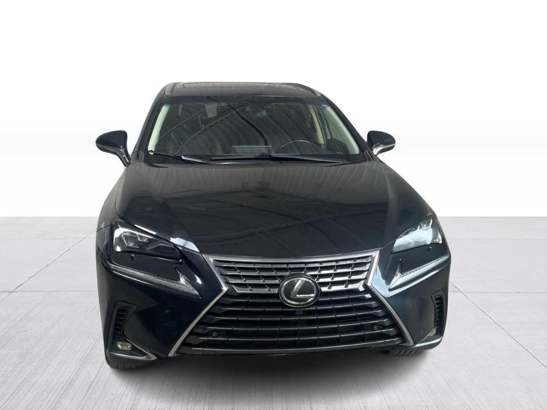2019 Lexus NX — photo 7