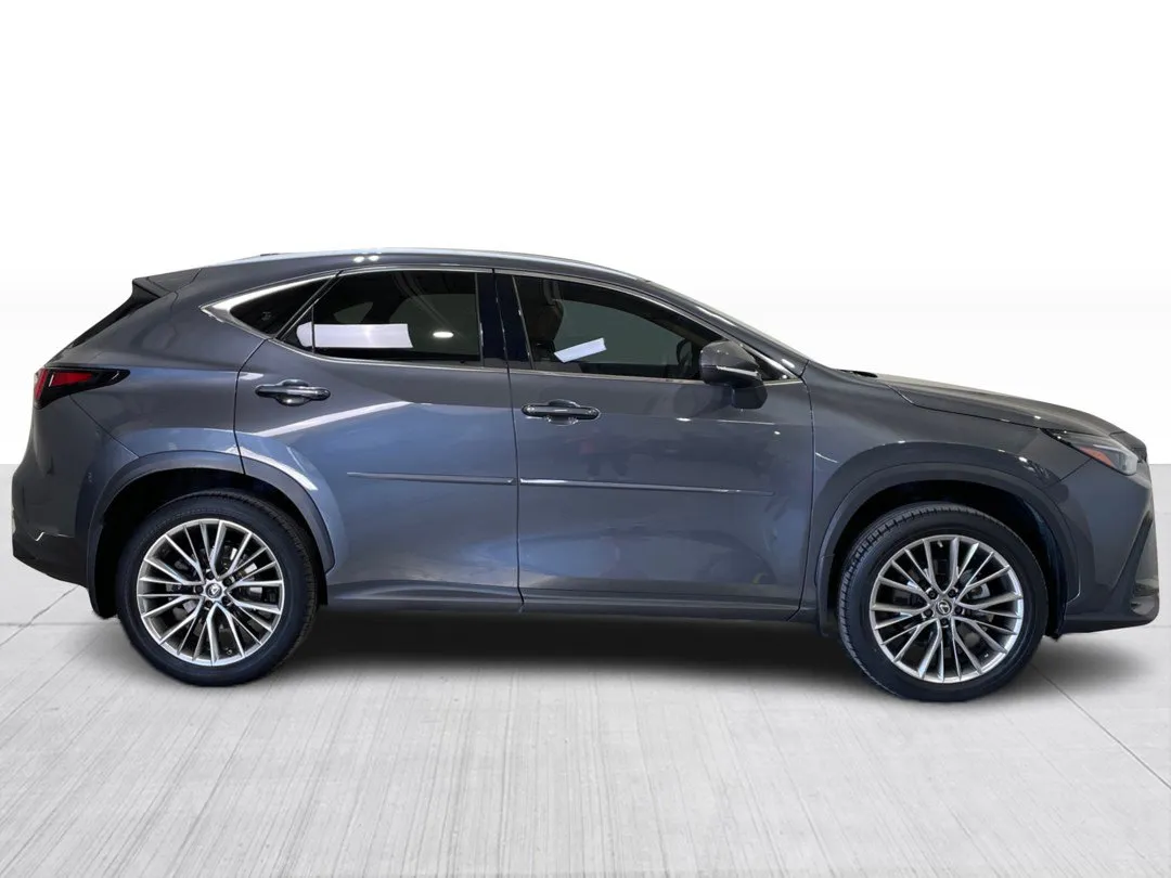 Lexus NX 2022 à vendre - photo 2