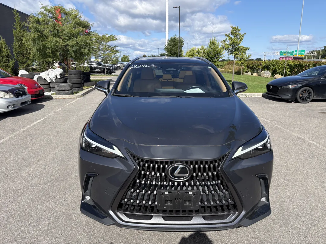 2022 Lexus NX for sale - photo 2