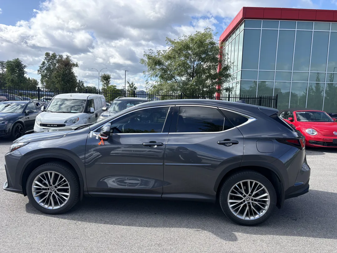 2022 Lexus NX for sale - photo 4