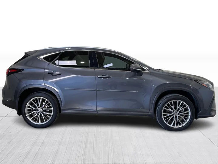 2022 Lexus NX