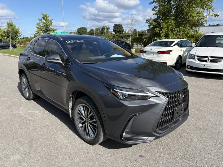 2022 Lexus NX for sale - photo 1